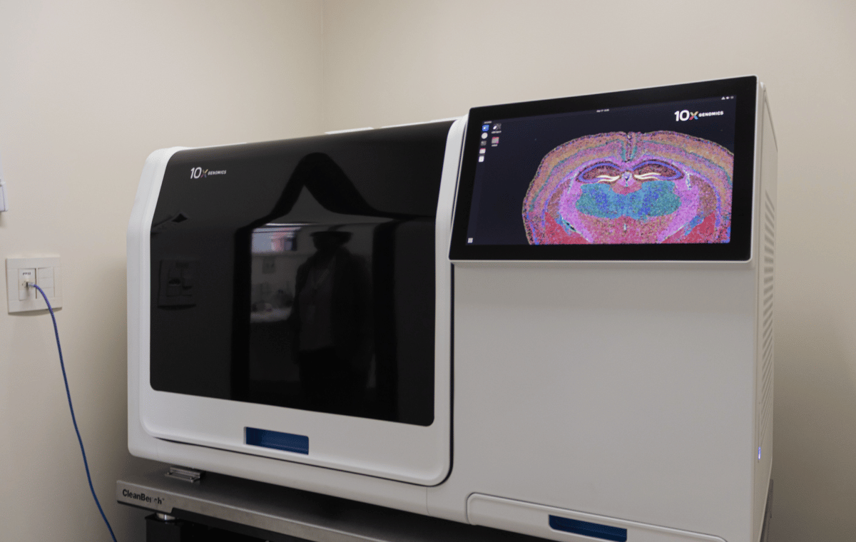 Xenium In Situ: biologia molecular com contexto espacial